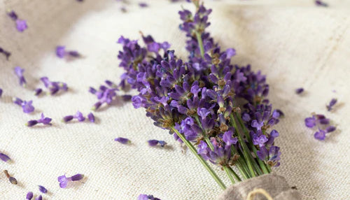 Lavendelgeurverspreiders: frisheid en netheid in huis