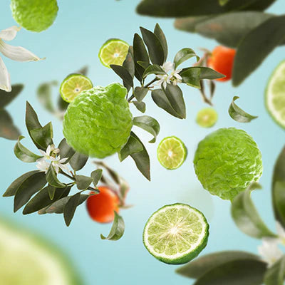 Heldere bergamot
