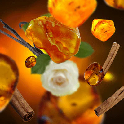 Poussière d'Ambre