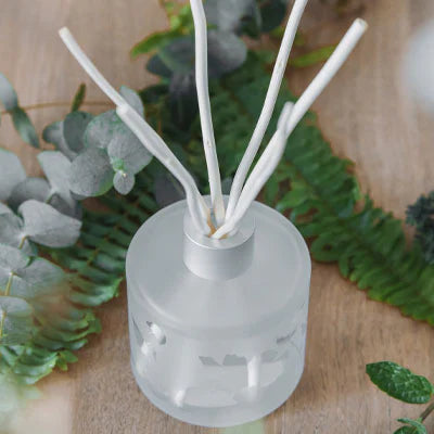 Diffusers voor etherische oliën met stokjes: wanneer welzijn in huis wordt gevoeld