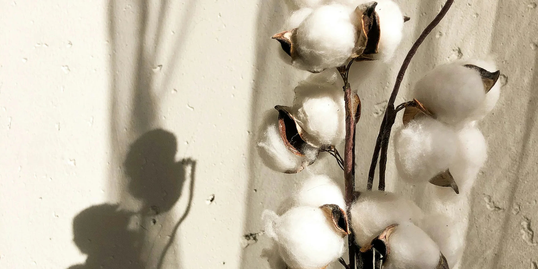 Fleur de Coton parfumverspreiders: zachtheid en wellust in uw interieur